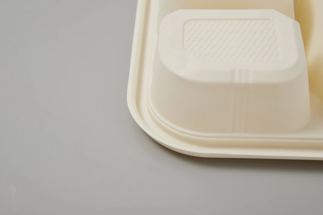 Disposable Food Container Wholesale Cornstarch Surgarcane Bagasse Storage Biodegradable Bento Take Away Fast Lunch Box with Lid