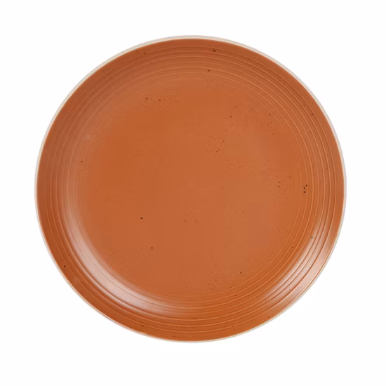 Conjunto de louça de grés para uso diário Prato de jantar com esmalte colorido e tampografia